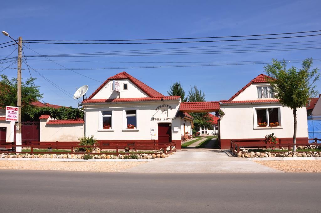 Pensiunea Roma Antica Harman Ngoại thất bức ảnh